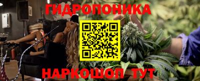 мяу мяу мука Будённовск